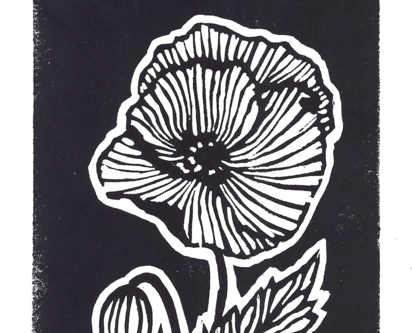 Les belles gravures du SoBD 2021