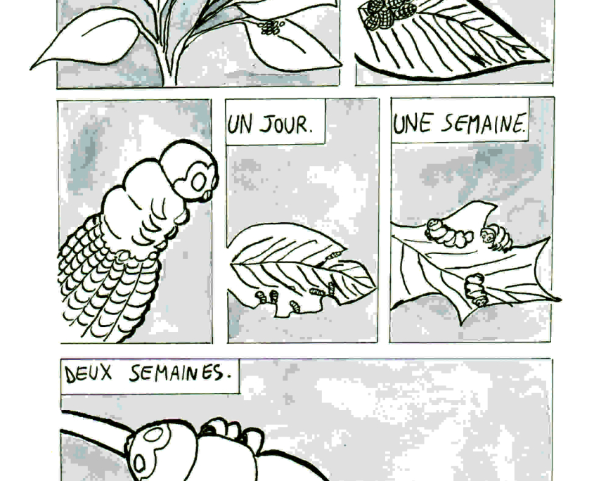 Jigro ButterFly Blues. de Johanna Grolier