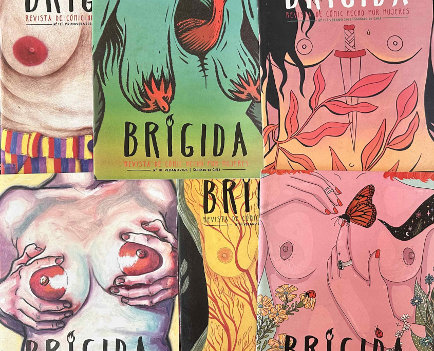Revue Brigida