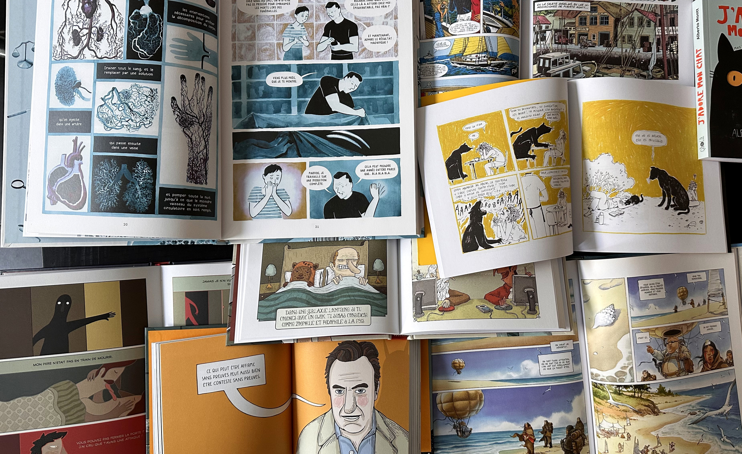 Livres des invités chiliens